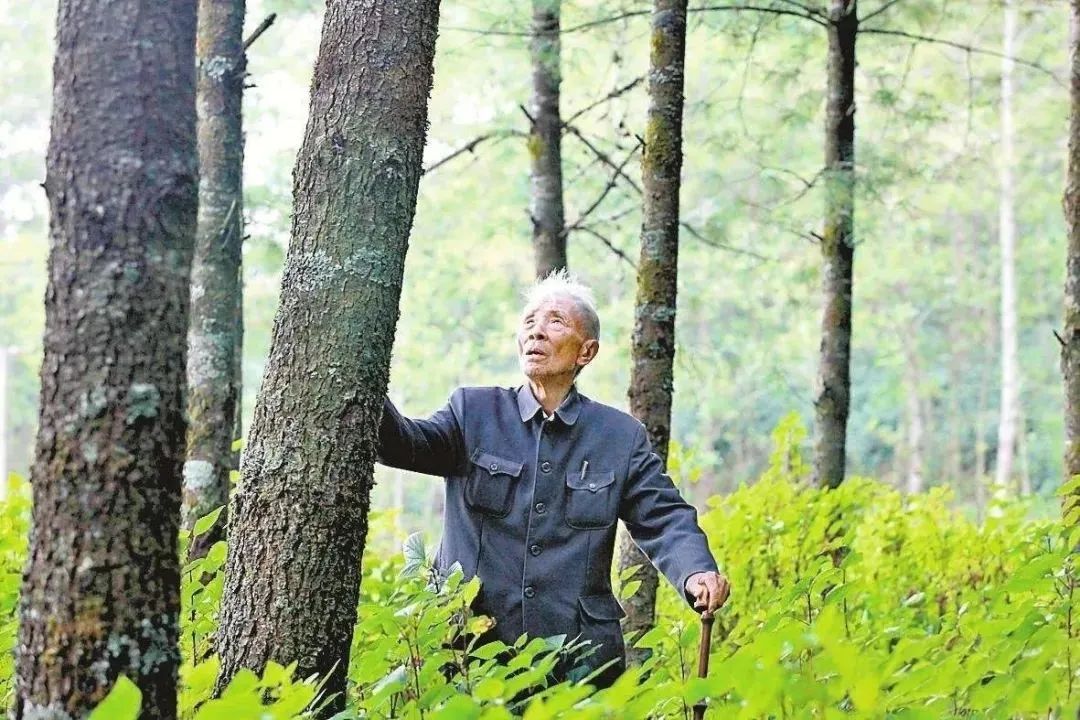 传承弘扬杨善洲精神丨保山推动杨善洲精神在新时代熠熠生辉