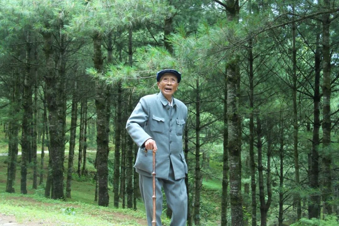 传承弘扬杨善洲精神丨杨善洲对家人的嘱咐