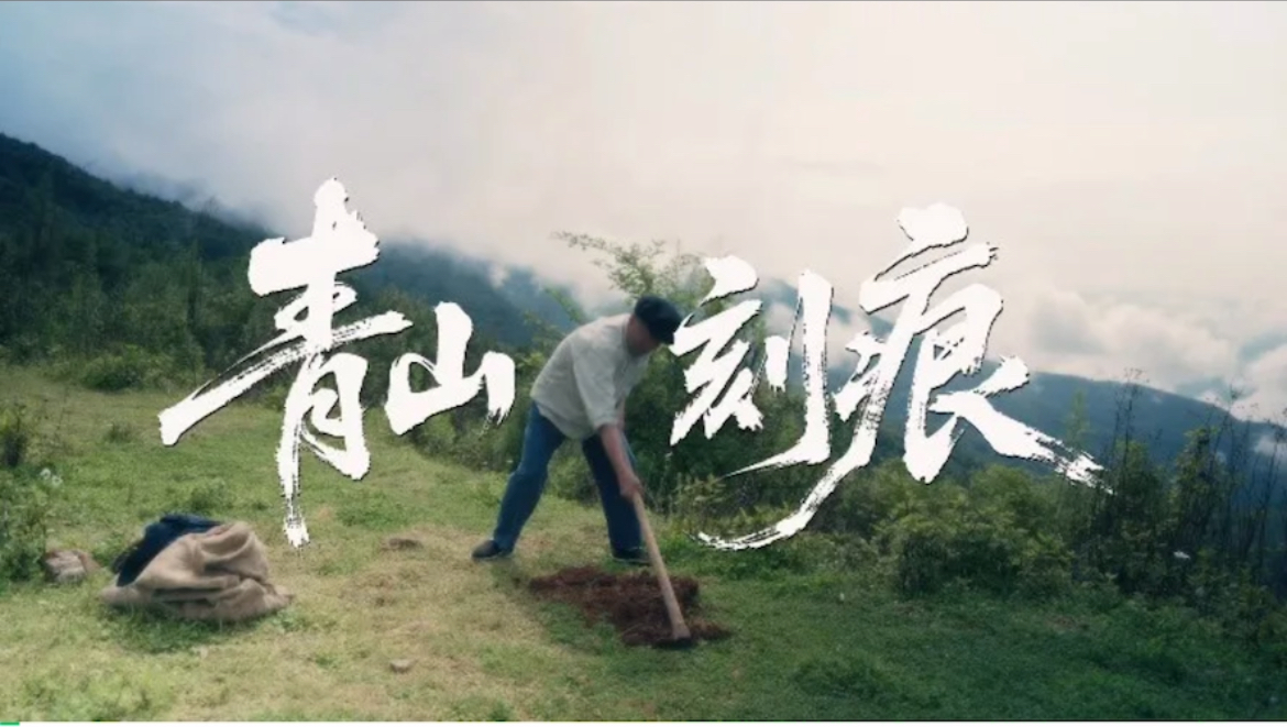 传承弘扬杨善洲精神丨《青山刻痕》