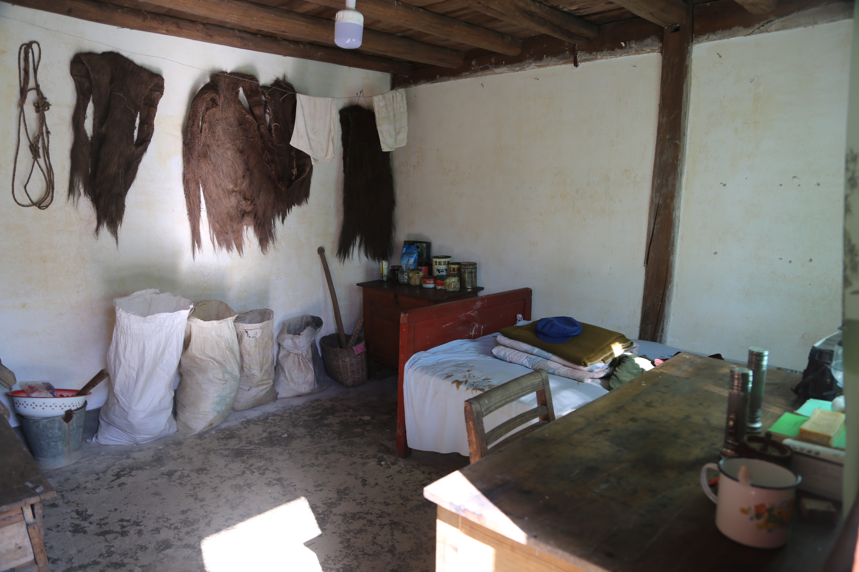 传承弘扬杨善洲精神丨洗衣粉袋子就是育苗袋 孕育出了一片林海